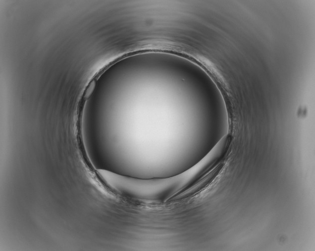 X0000091090846200708131318