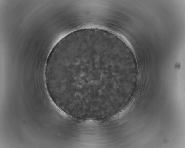 X0000091090847200708131318
