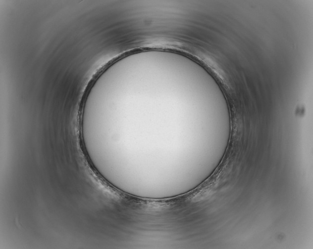 X0000091090848200708131318