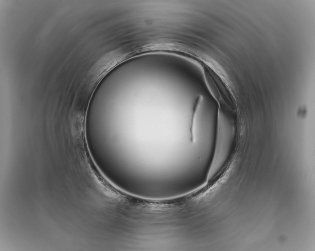 X0000091090849200708131318