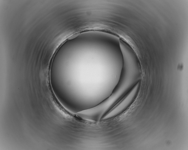 X0000091090850200708131318