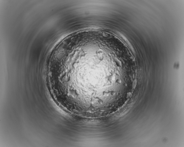X0000091090851200708131318