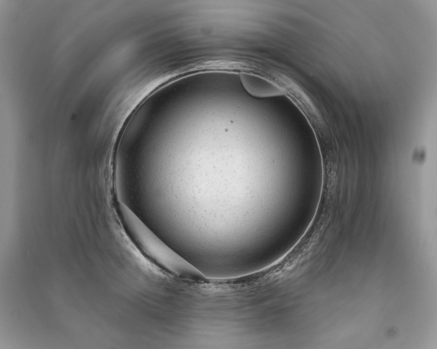 X0000091090852200708131318