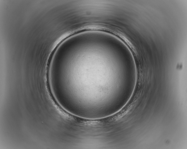 X0000091090853200708131318