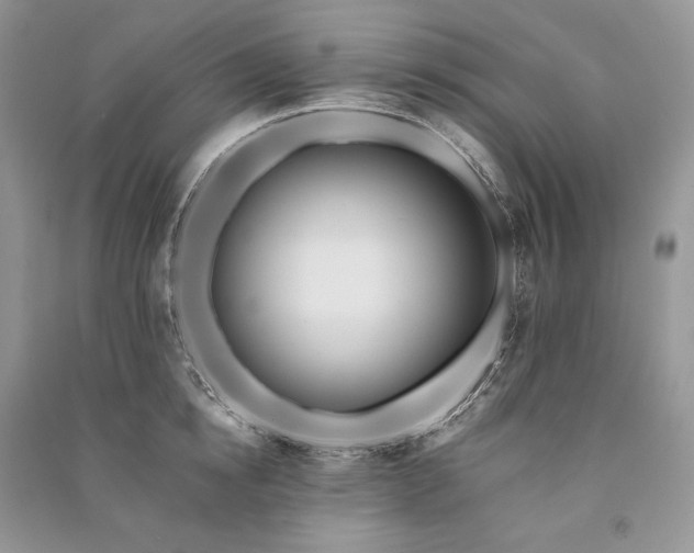 X0000091090854200708131318