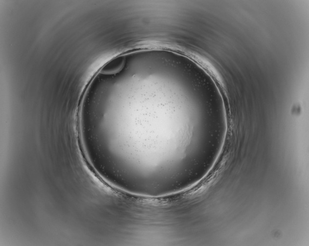 X0000091090855200708131318