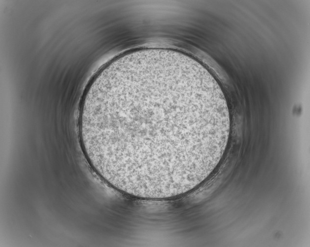 X0000091090856200708131318