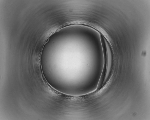 X0000091090857200708131318
