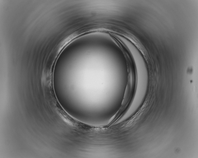 X0000091090858200708131318
