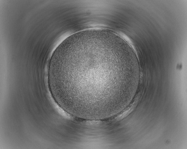 X0000091090859200708131318