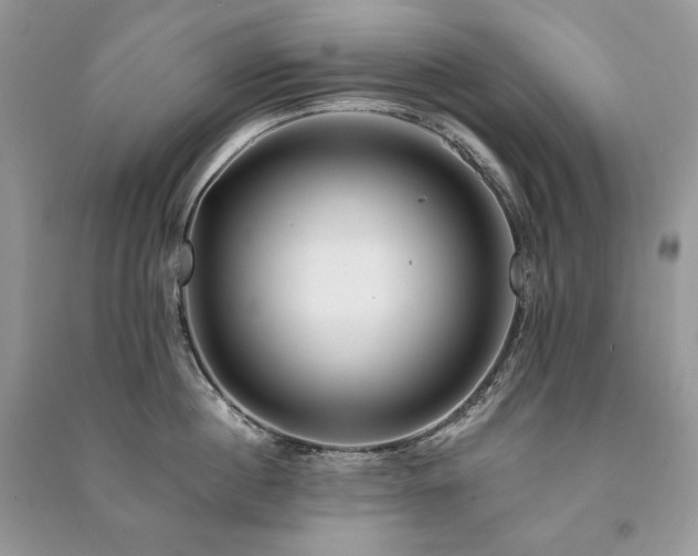 X0000091090860200708131318