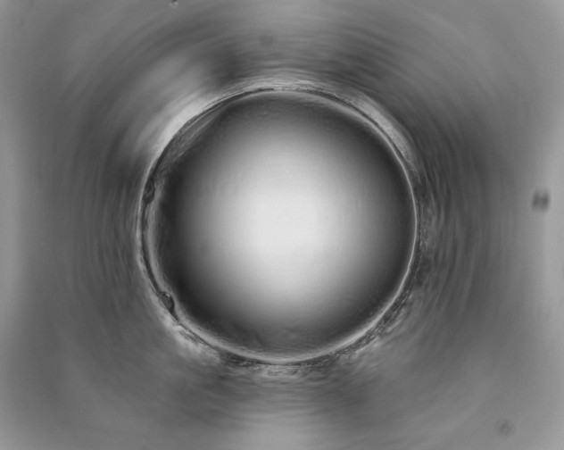 X0000091090861200708131318