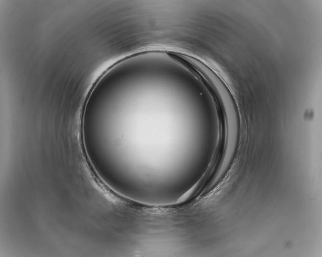 X0000091090862200708131318