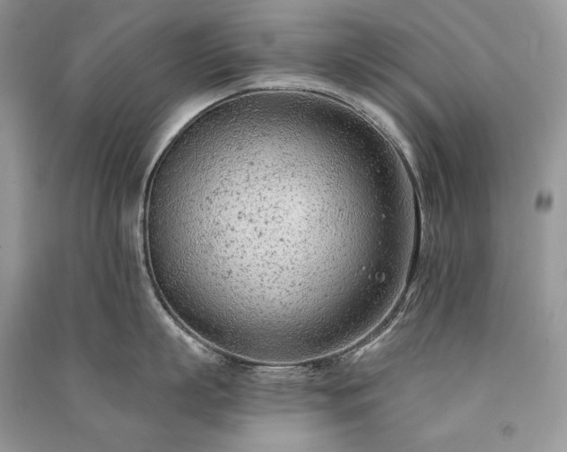 X0000091090863200708131318
