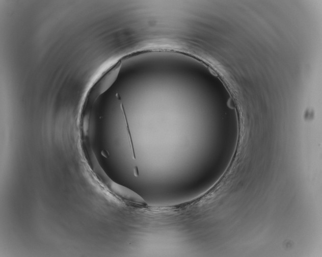 X0000091090864200708131318