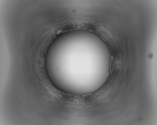 X0000091090865200708131317