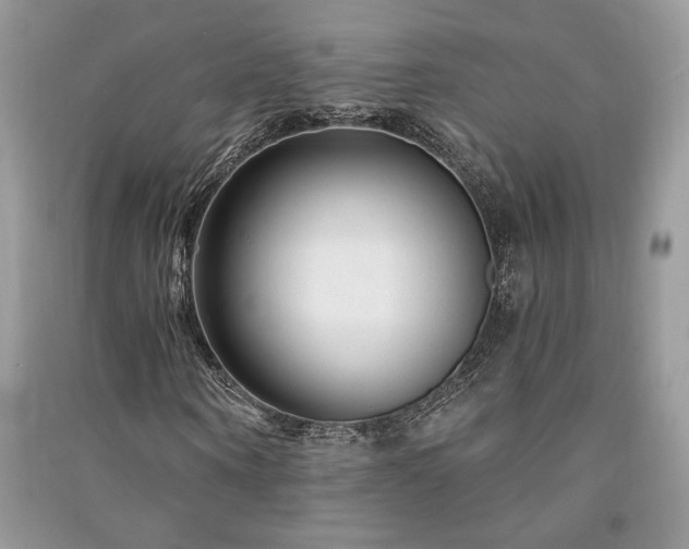 X0000091090866200708131317