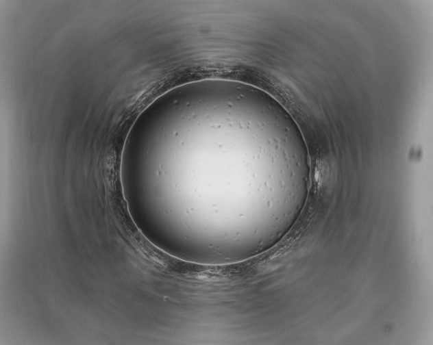 X0000091090867200708131317