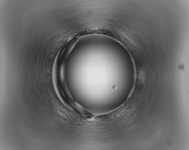X0000091090868200708131317