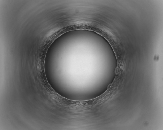 X0000091090869200708131317