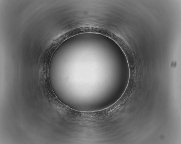 X0000091090870200708131317