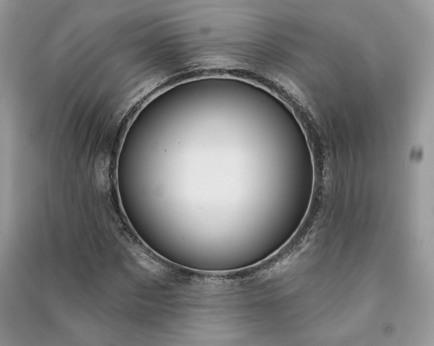 X0000091090873200708131317