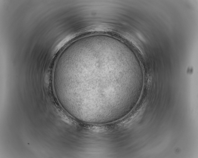 X0000091090874200708131317