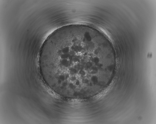 X0000091090875200708131317