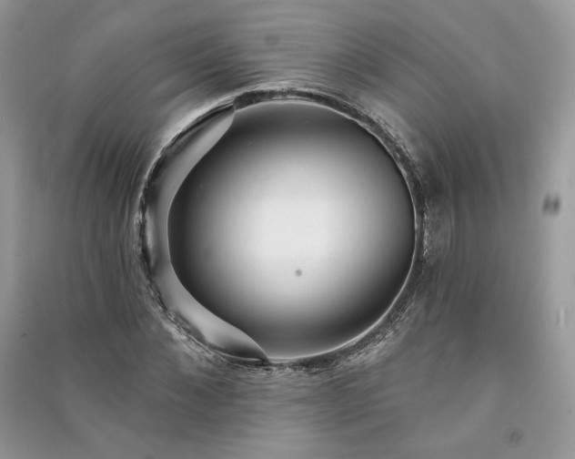X0000091090876200708131317