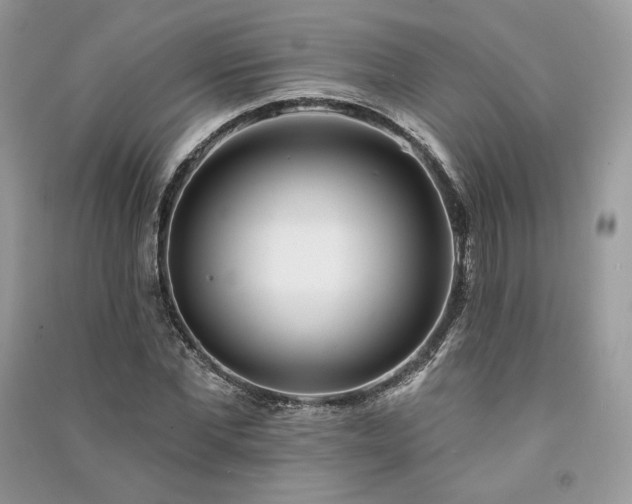 X0000091090877200708131317