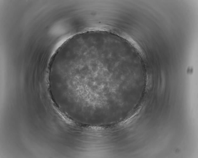 X0000091090878200708131317