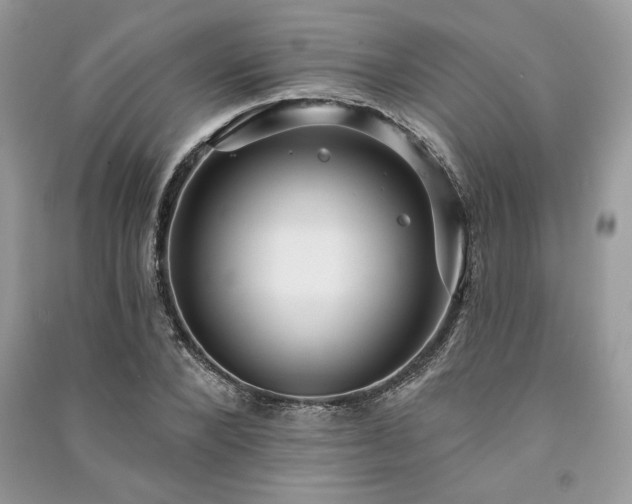 X0000091090880200708131317