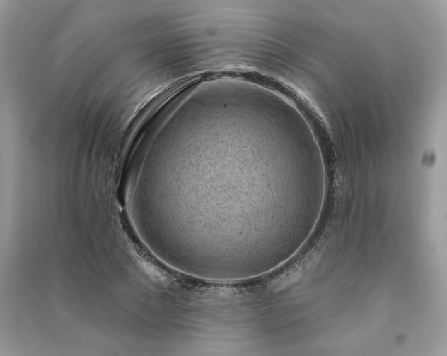 X0000091090881200708131317