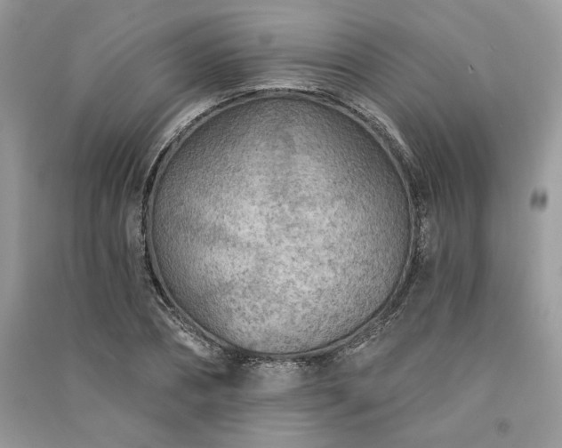 X0000091090882200708131317