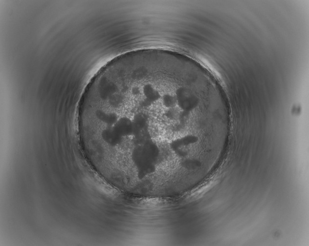 X0000091090883200708131317
