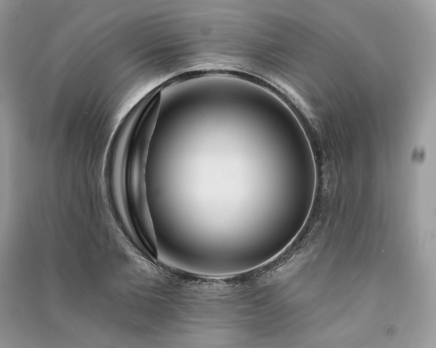 X0000091090885200708131317
