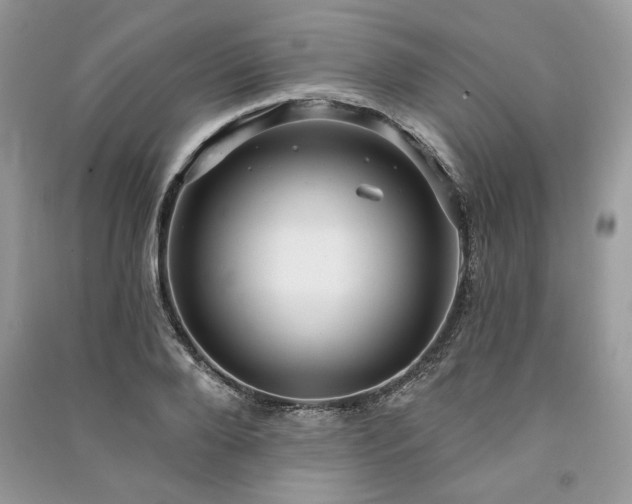 X0000091090888200708131317