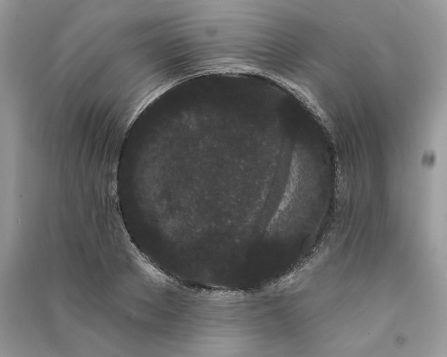 X0000091090889200708131317