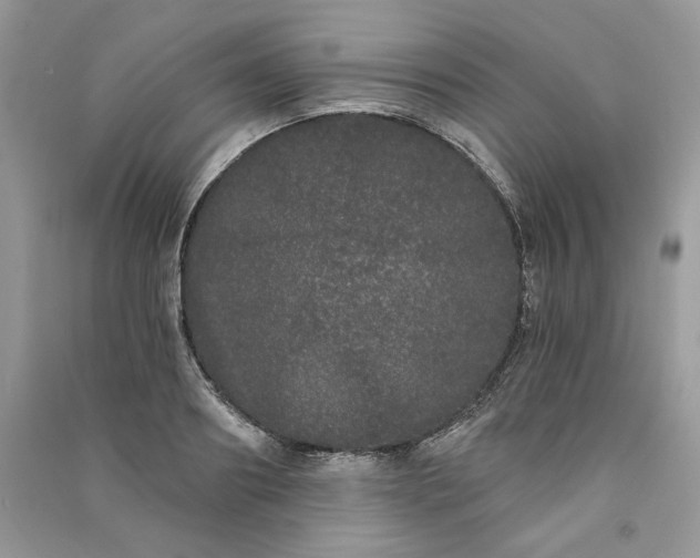 X0000091090890200708131317