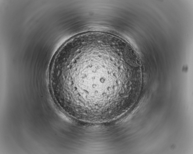 X0000091090891200708131317