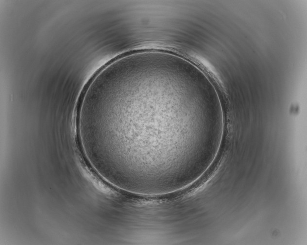 X0000091090892200708131317