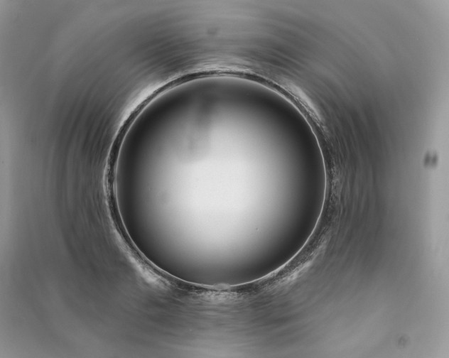 X0000091090893200708131317