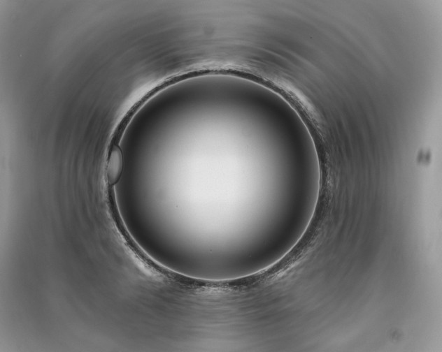 X0000091090894200708131317