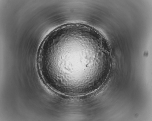 X0000091090895200708131317