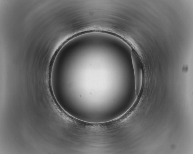 X0000091090896200708131317