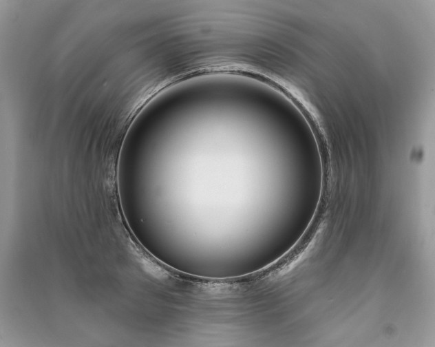 X0000091090897200708131317