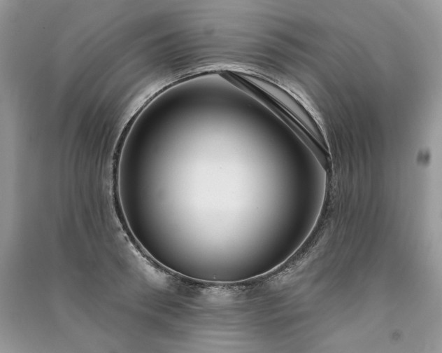 X0000091090898200708131317