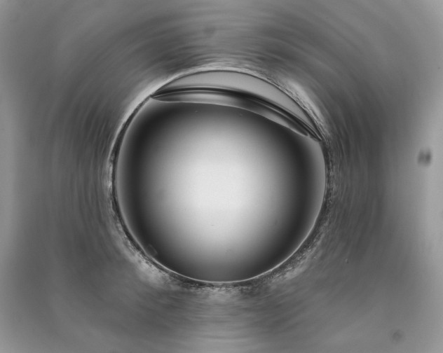 X0000091090900200708131317