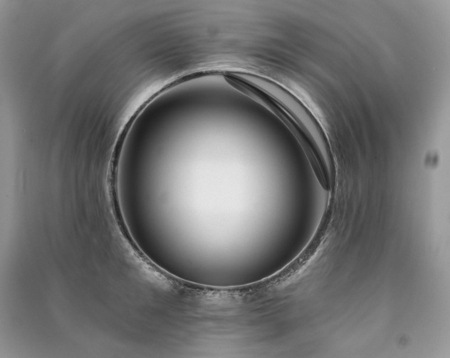 X0000091090901200708131317