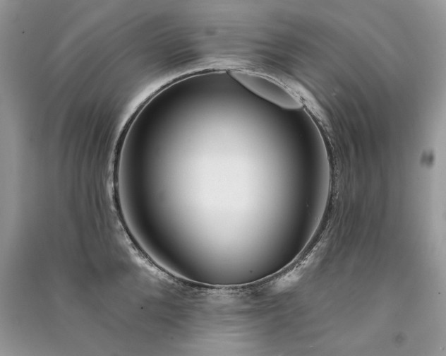 X0000091090904200708131317